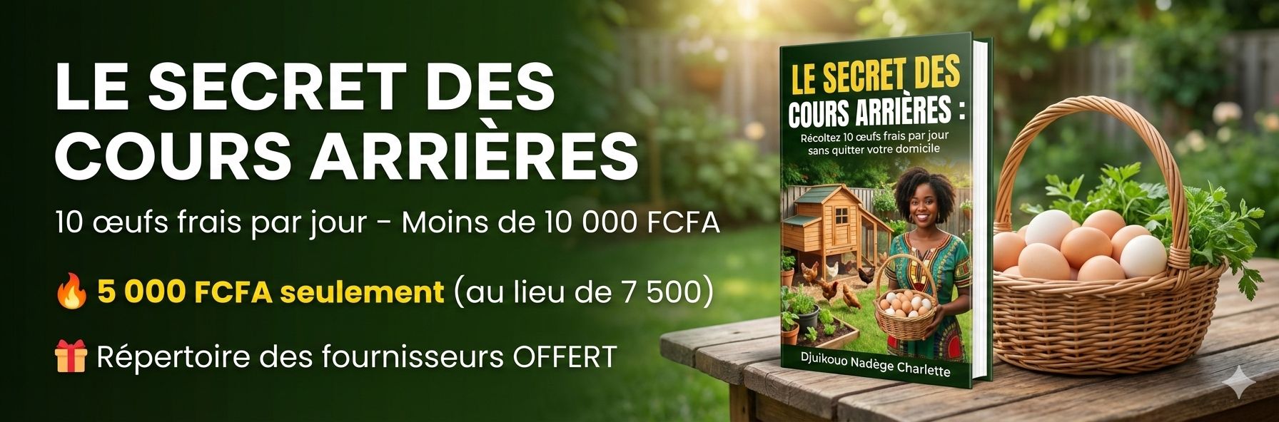 Le Secret des Cours Arrières : Récoltez 10 œufs frais par jour