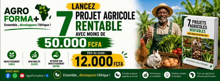 🍅🐓 𝗗𝗘𝗠𝗔𝗥𝗥𝗘𝗭 7 𝗣𝗥𝗢𝗝𝗘𝗧S 𝗔𝗚𝗥𝗜𝗖𝗢𝗟𝗘 𝗔𝗩𝗘𝗖 𝗠𝗢𝗜𝗡𝗦 𝗗𝗘 𝟱𝟬.𝟬𝟬𝟬 𝗙𝗖𝗙𝗔 !