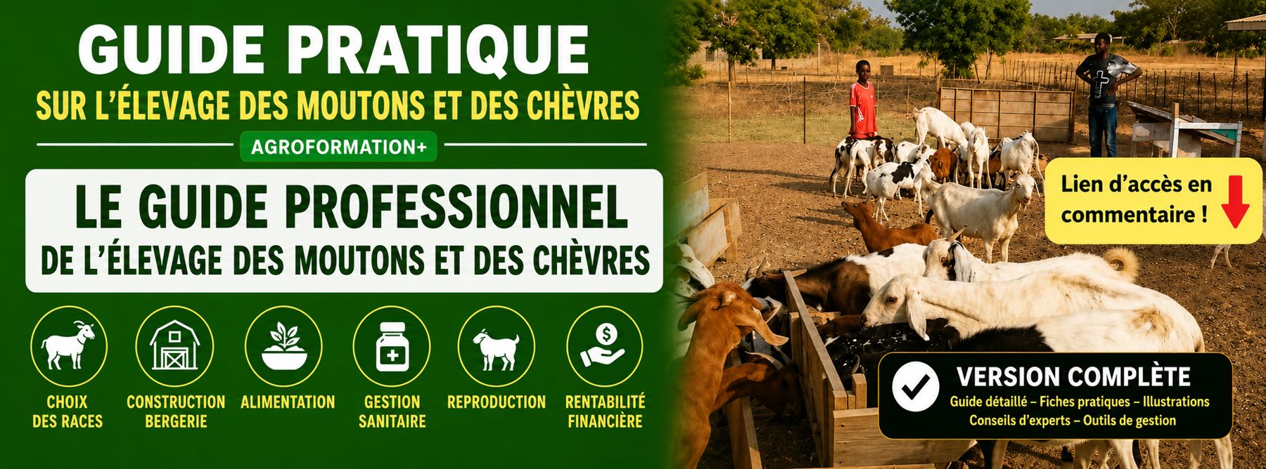 GUIDE PROFESSIONNEL DE L’ÉLEVAGE DES MOUTONS ET DES CHÈVRES