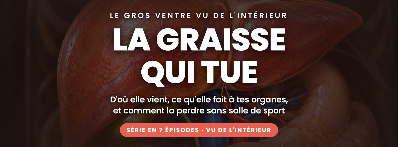 La graisse qui tue : le gros ventre vu de l'intérieur