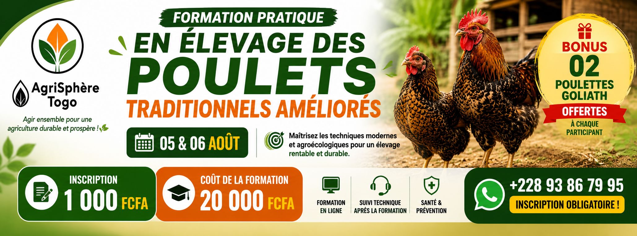 Formation pratique en élevage de poulets traditionnels améliorés