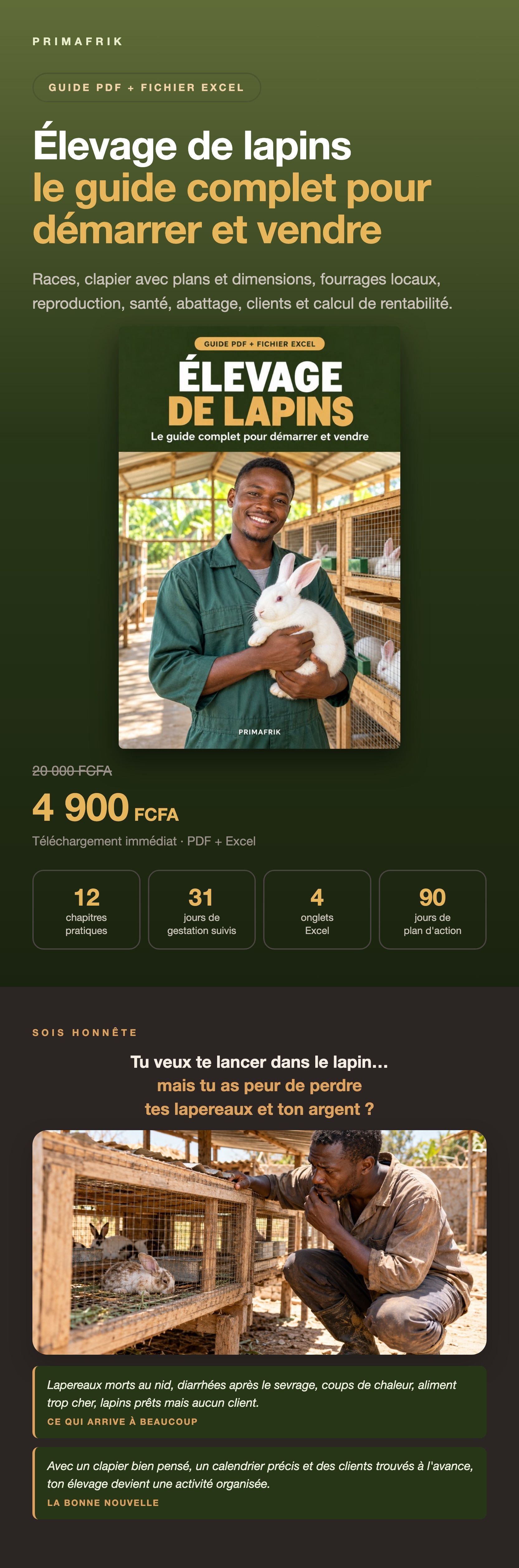 lapin-v1.jpg