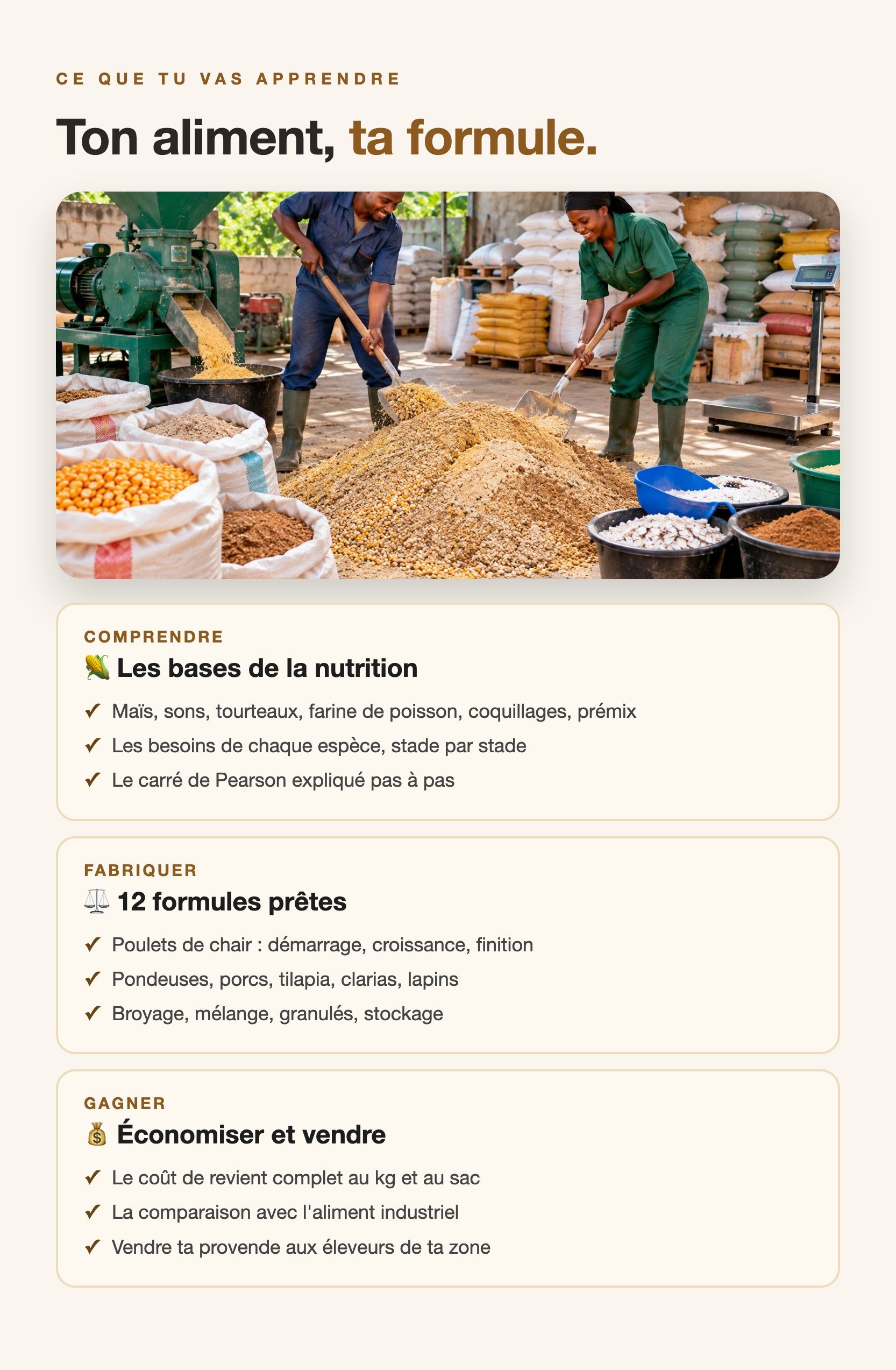 provende-v2.jpg