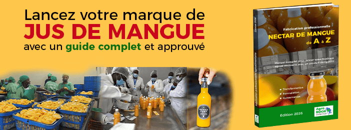 Nectar de Mangue , fabrication professionnelle  – DE A à Z