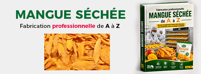Mangue séchée , fabrication professionnelle  – De A à Z
