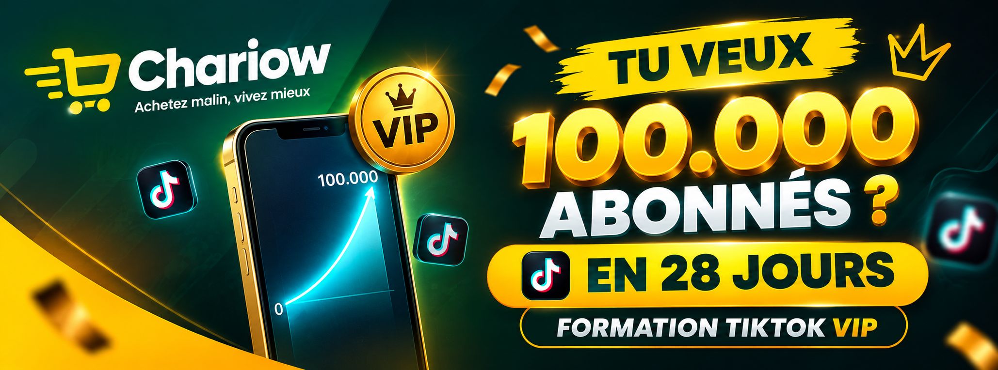 Formation Tiktok VIP 0 à 100.000 abonnés en 28 jours
