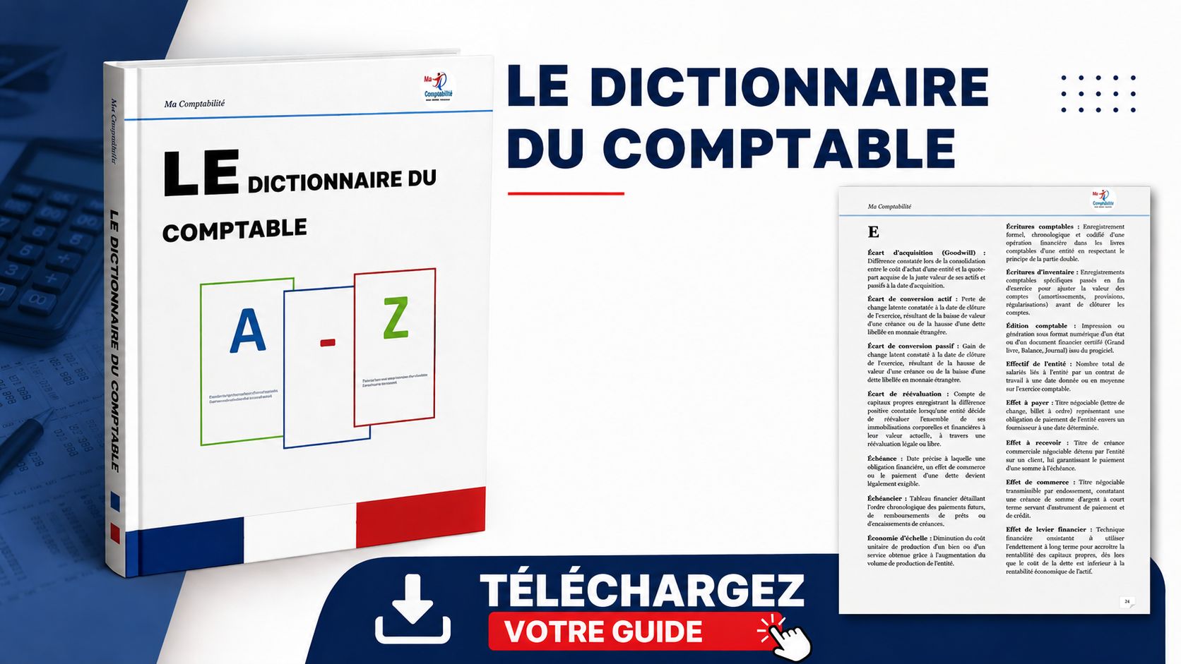 LE DICTIONNAIRE DU COMPTABLE