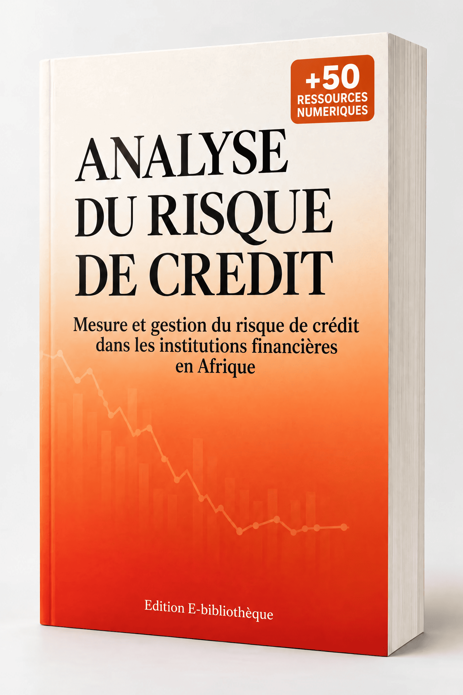 LIVRE ANALYSE DU RISQUE DE CREDIT ( +50 RESSOURCES NUMERIQUES )