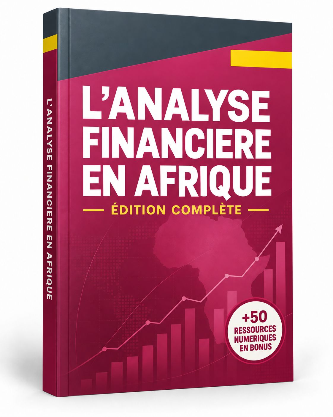 L'ANALYSE FINANCIERE EN AFRIQUE ( +50 RESSOURCES NUMERIQUES EN BONUS )