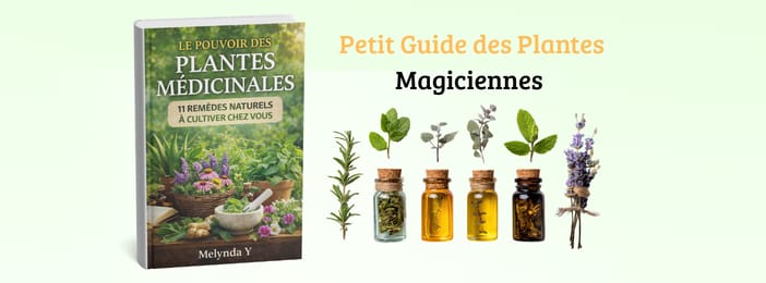 Le pouvoir des plantes médicinales 11 remèdes naturels à cultiver chez vous