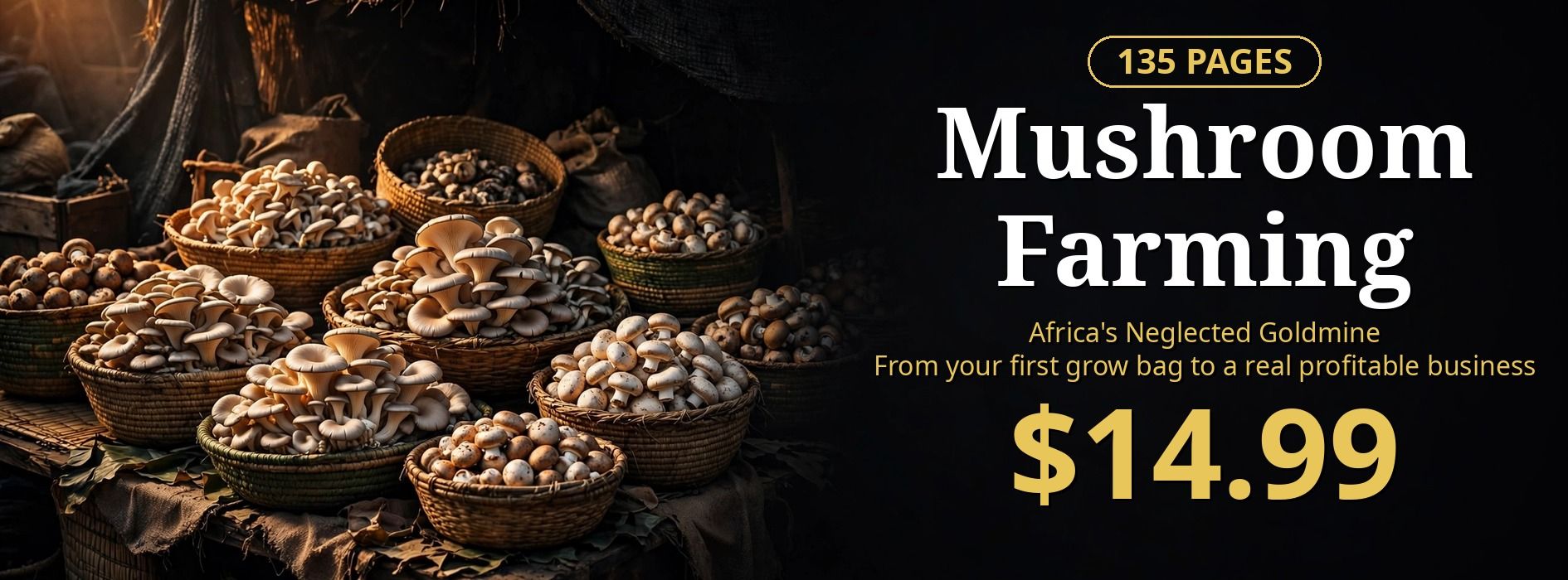 Mushroom Farming — Africa's Neglected Goldmine