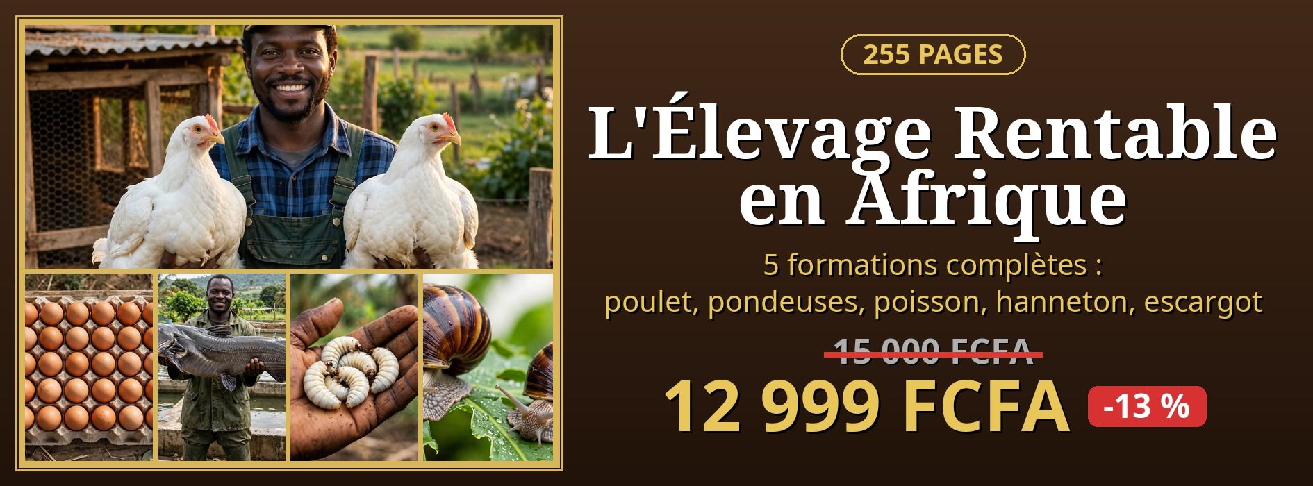 L'Élevage Rentable en Afrique — 5 Formations Complètes