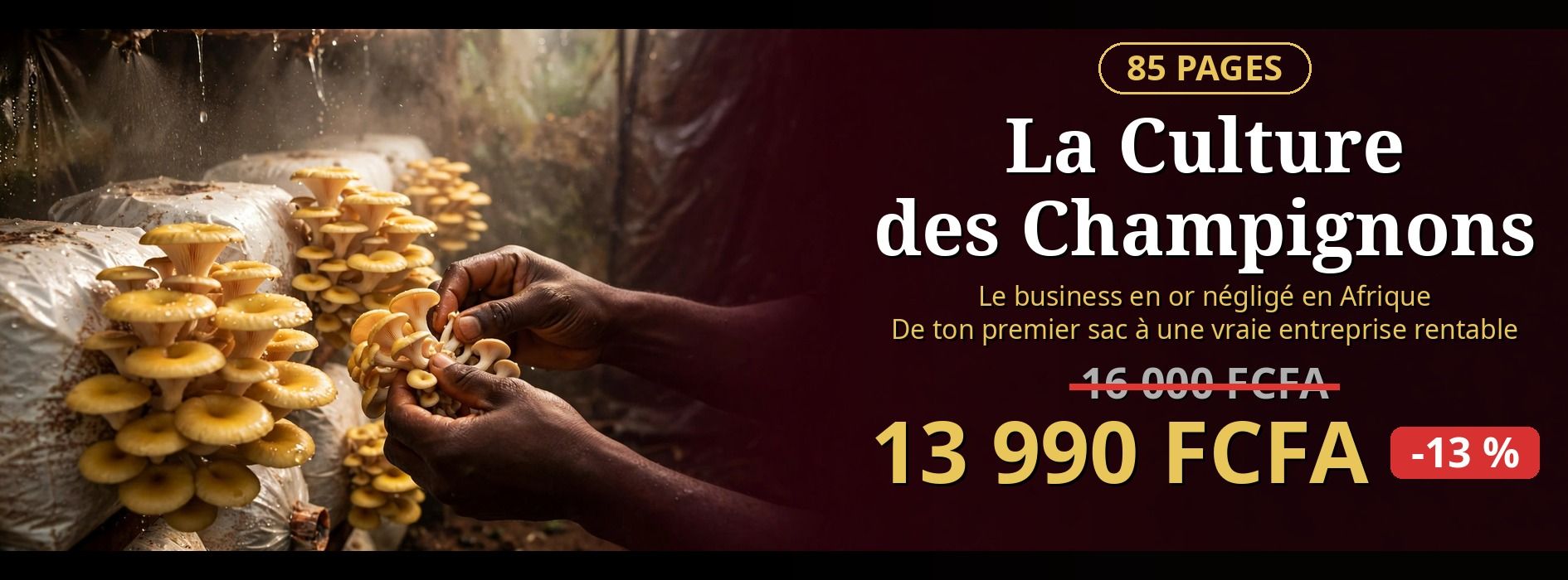 La Culture des Champignons — Le Business en Or Négligé en Afrique