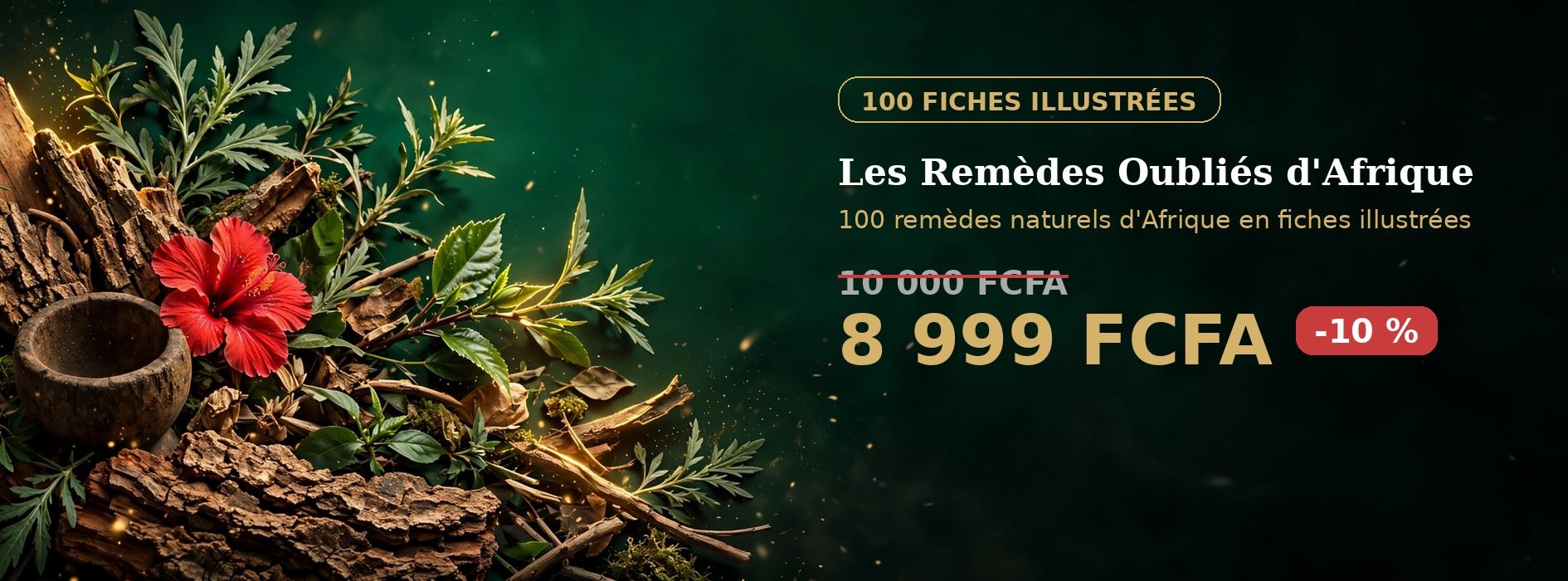 Les Remèdes Oubliés d'Afrique