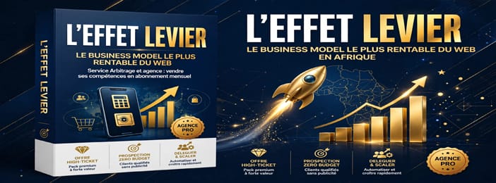 L'EFFET LEVIER Créer son agence de services digitaux et vivre de revenus récurrents