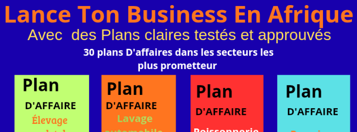 Lance Ton Business En Afrique,Avec des Plans d'affaires claires, testés et approuvés