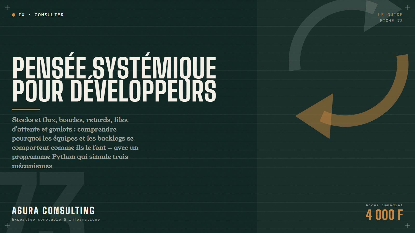 E-book : Pensée systémique pour développeurs