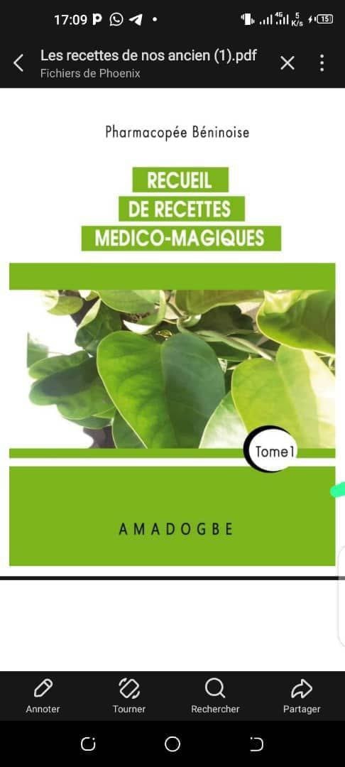 🛑 COMPILATION DES RECETTE, MEDICO- MAGIQUE