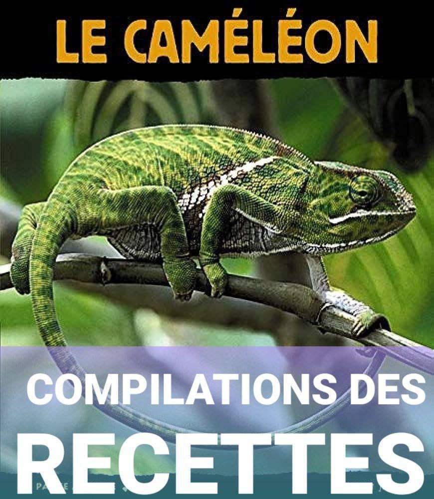 🛑 COMPILATION DES RECETTE MYSTIQUE