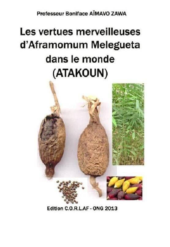 🛑 LES VERTUS MYSTIQUE DE PIMENT DE GUINÉE ( AFROMOME MELEGUETA)