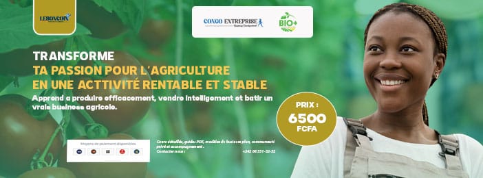 La loi des 3S — Le Sol, la Semence, le Suivi (Ta récolte se joue avant même la plantation)