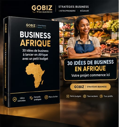 BUSINESS AFRIQUE : 30 idées de business à lancer en Afrique avec un petit budget