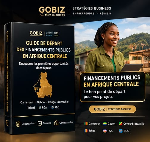 LE GUIDE SIMPLIFIÉ DES FINANCEMENTS PUBLICS EN AFRIQUE CENTRALE