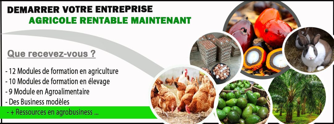 PACK de formation Complète en Agriculture, Elevage  &  en Transformation Agroalimentaire