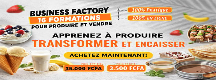 🔥 BUSINESS FACTORY – 16 FORMATIONS POUR PRODUIRE ET VENDRE