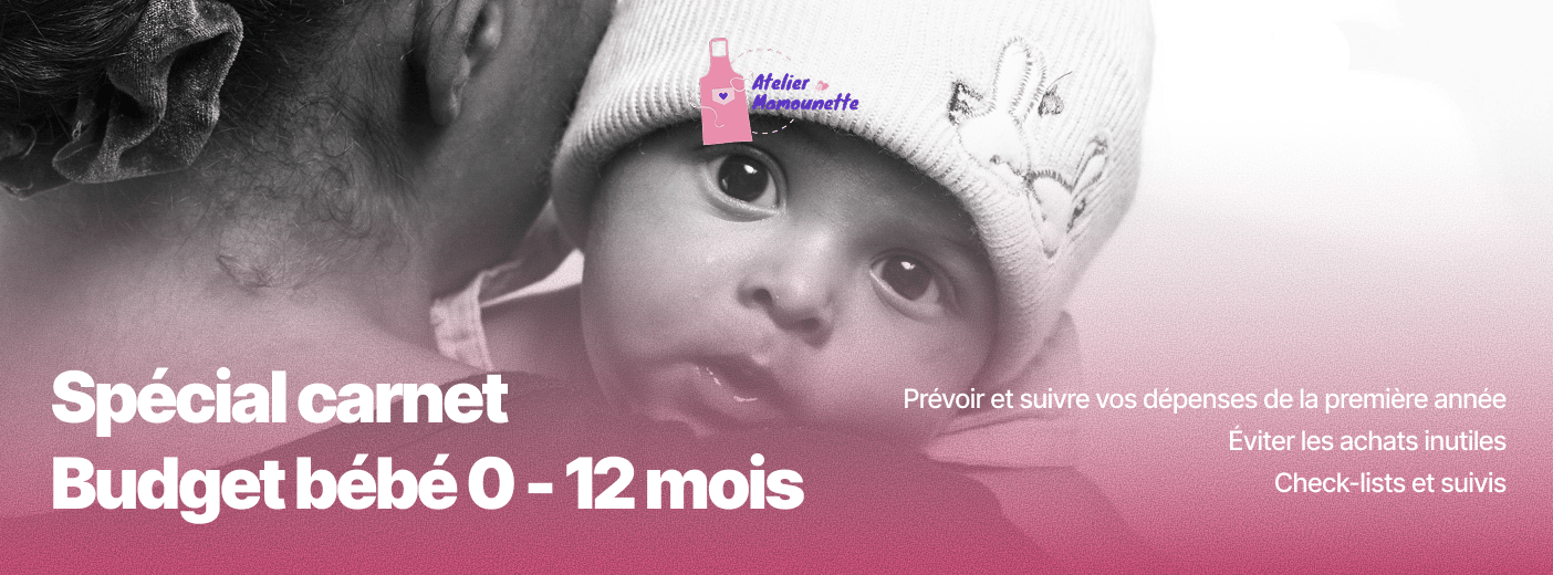 Spécial carnet Budget bébé 0 - 12 mois