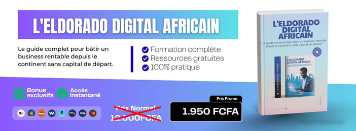 Le guide complet pour bâtir un business rentable depuis le continent sans capital de départ. (copy)