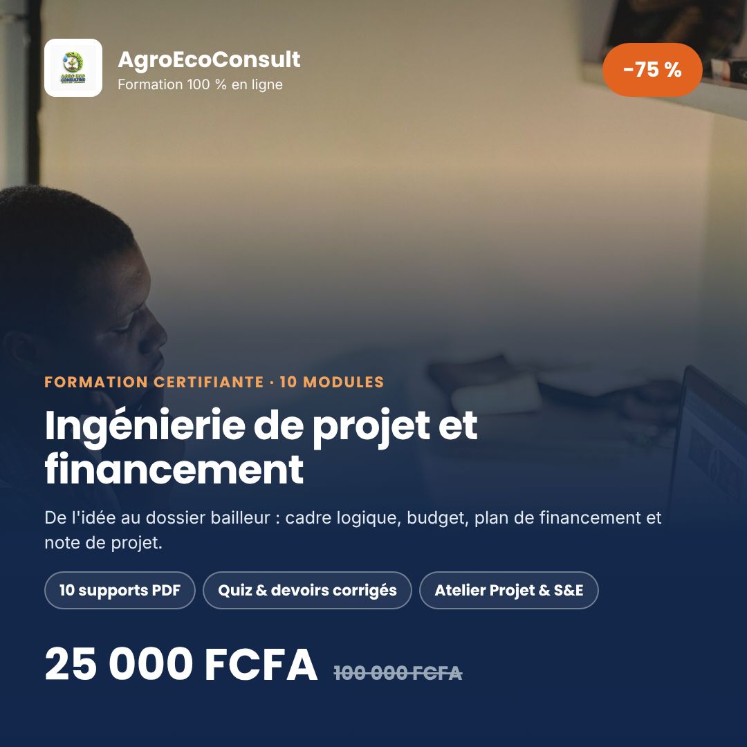 Ingénierie de Projet et Financement : de l'idée au dossier bailleur