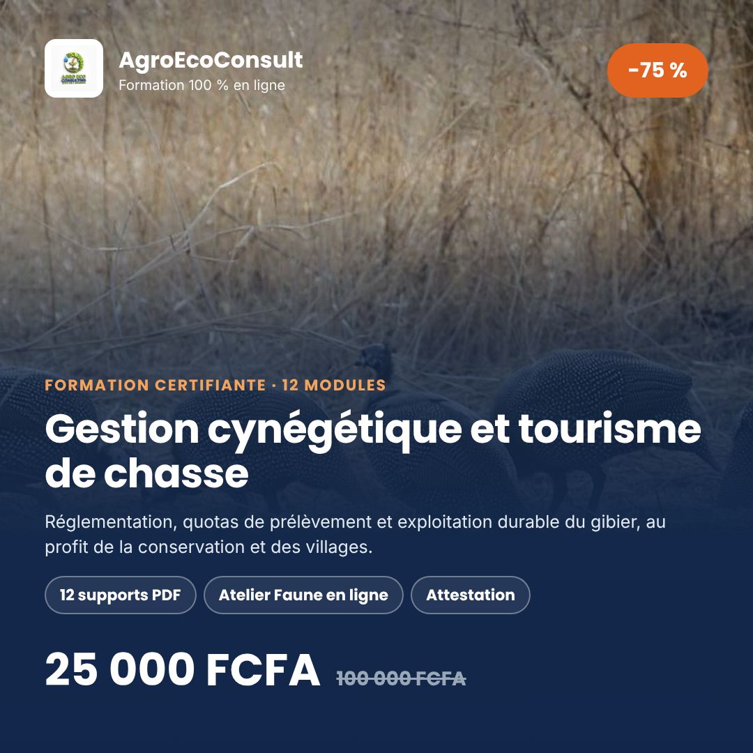 Gestion cynégétique et tourisme de chasse : réglementation, quotas et exploitation durable du gibier