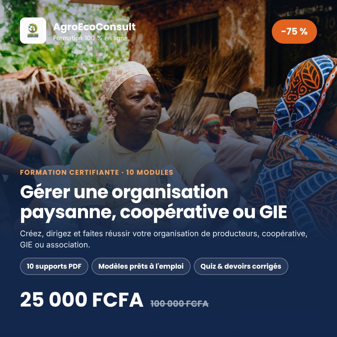 Gestion des organisations paysannes, coopératives, GIE et associations