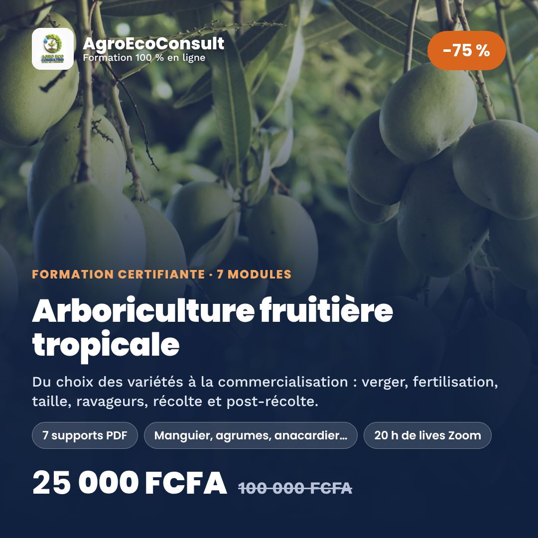 Arboriculture fruitière tropicale : du verger à la commercialisation