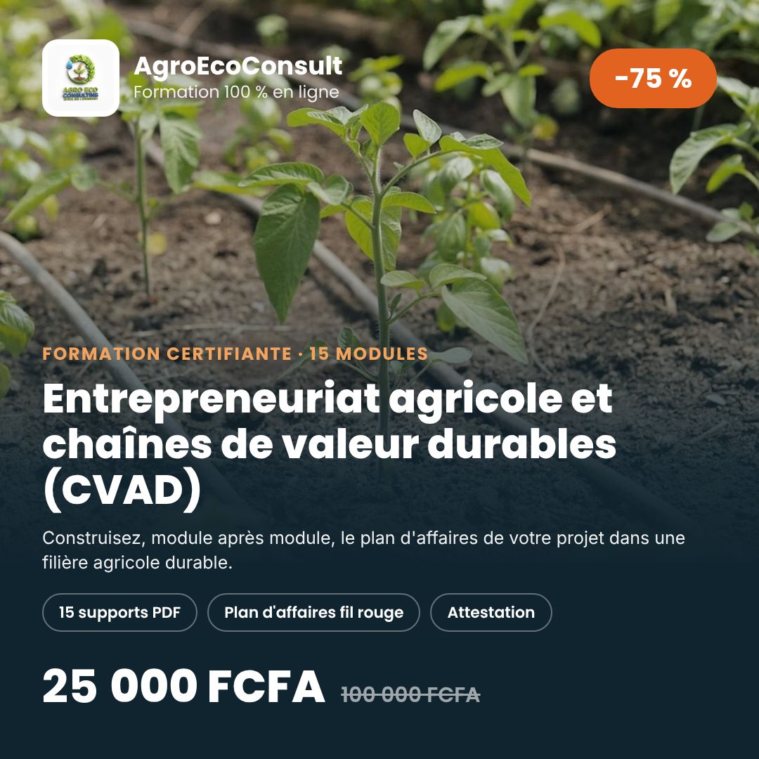 Entrepreneuriat agricole et chaînes de valeur agricoles durables (CVAD) en Afrique