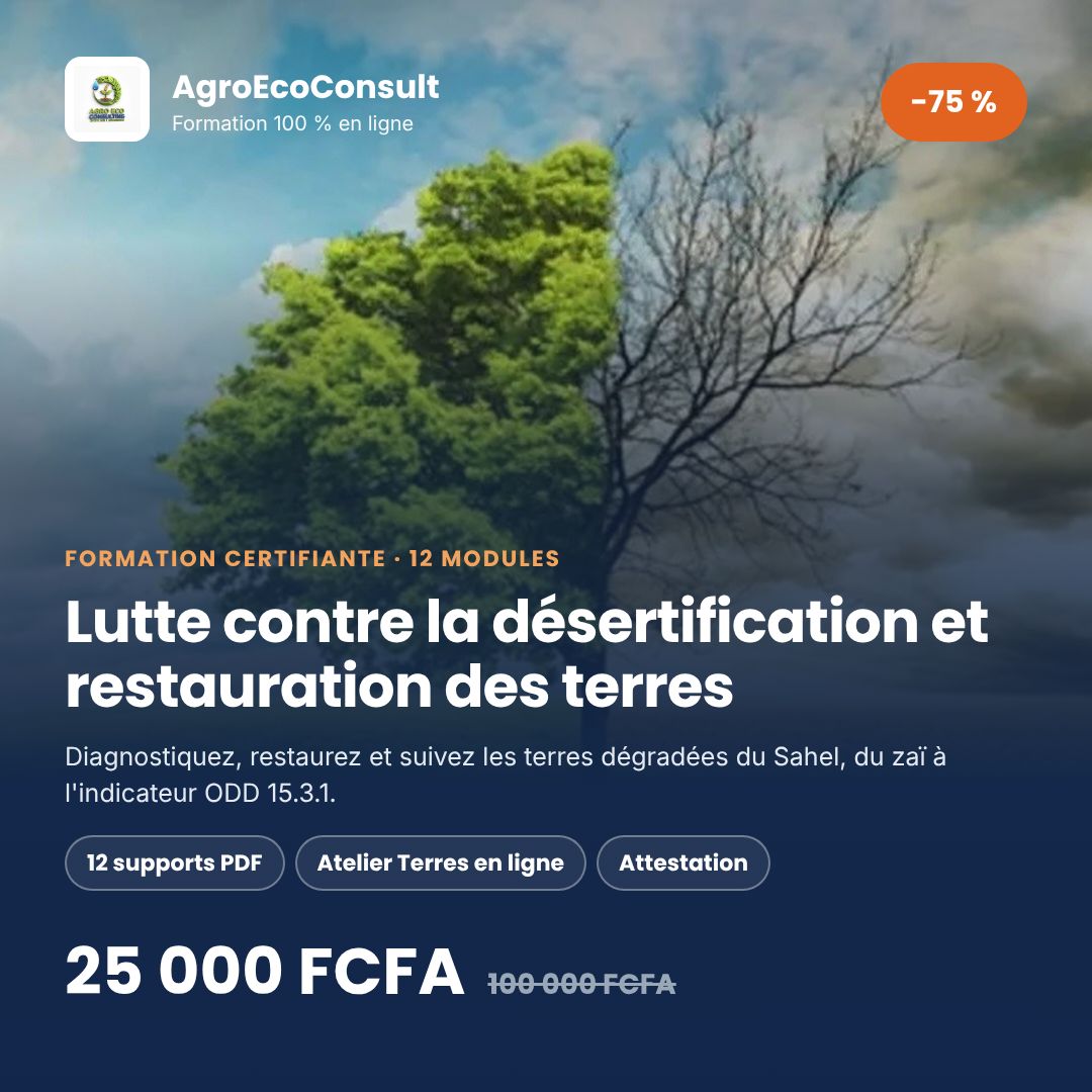 Lutte contre la désertification et restauration des terres dégradées au Sahel