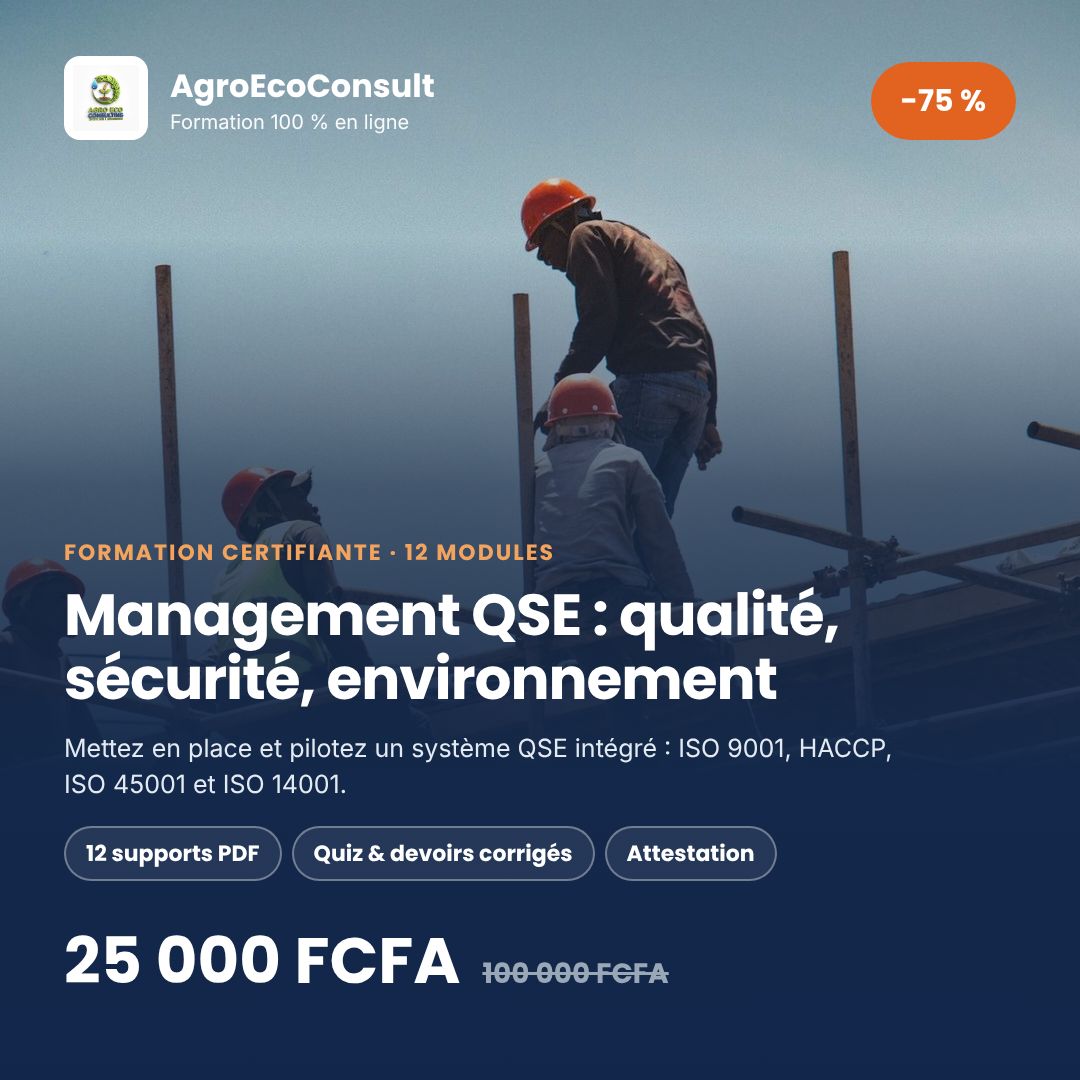 QSE : Qualité, Sécurité, Environnement – piloter la performance globale et durable de l'entreprise
