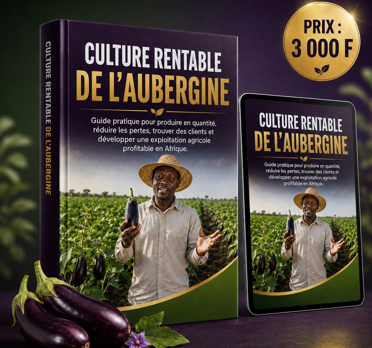 CULTURE RENTABLE DE L’AUBERGINE : Guide pratique pour produire en quantité, réduire les pertes