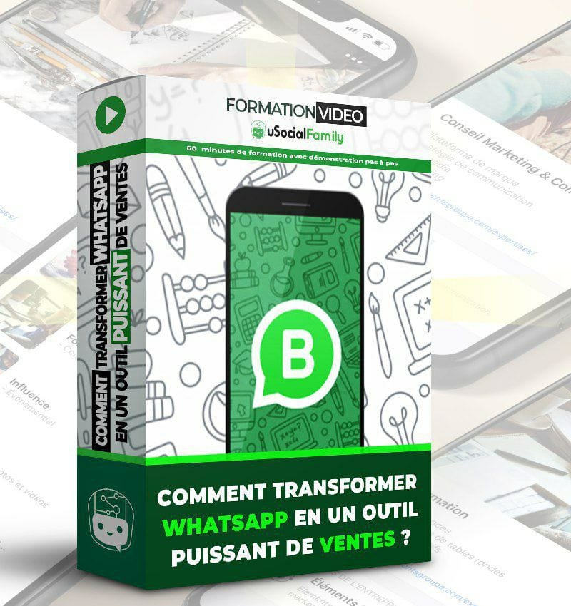 Formation WhatsApp Business