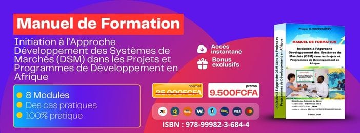 Boostez votre employabilité avec l'Approche DSM - Manuel Pratique de formation pour l'Afrique