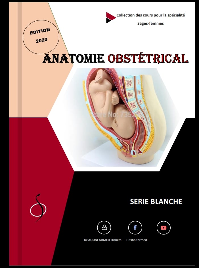 ANATOMIE OBSTÉTRICALE
