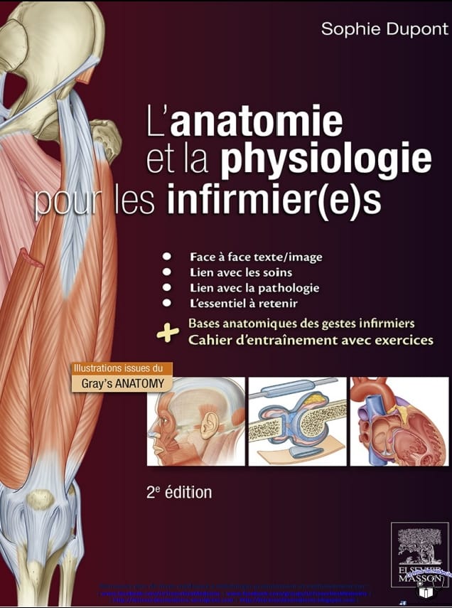 L'anatomie et la physiologie pour les infirmier.e.s