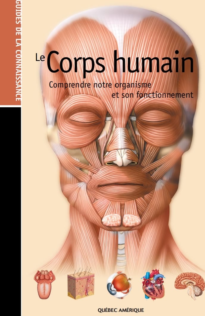 Le Corps humain Comprendre notre organisme et son fonctionnement