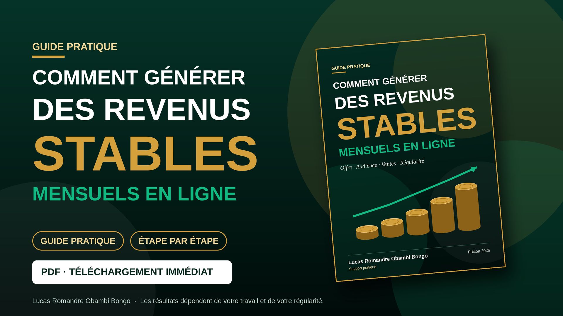 Comment générer des revenus stables mensuels en ligne : le manuel pratique.