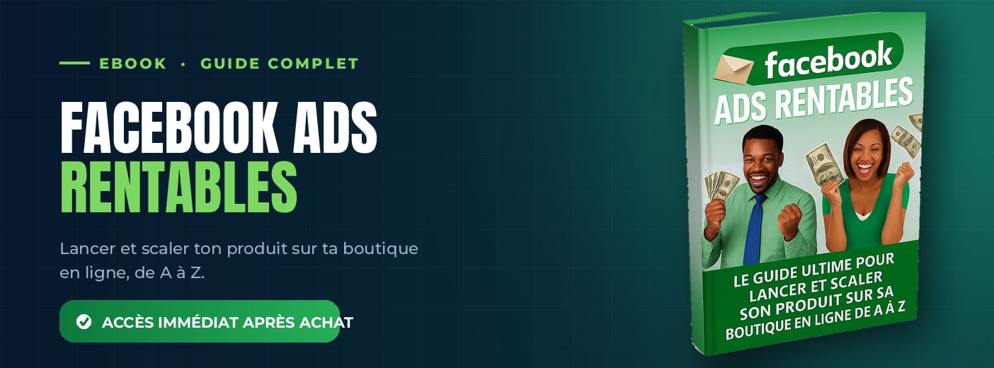 Facebook ads : Le guide ultime pour lancer et scaler son produit sur sa boutique en ligne de A à Z