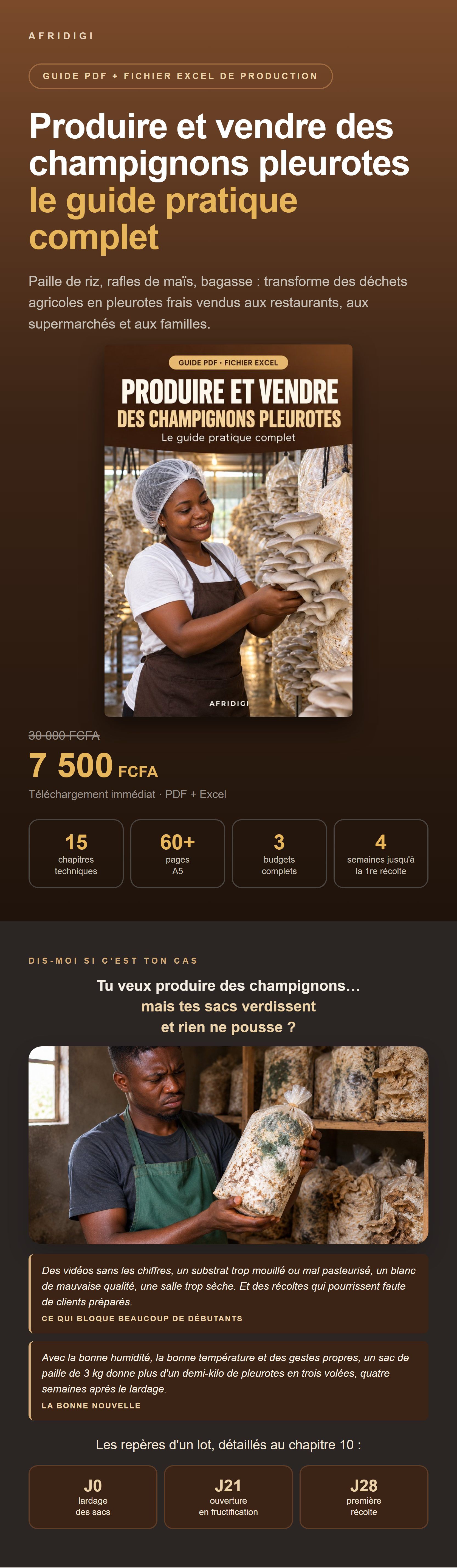 champi-v1.jpg