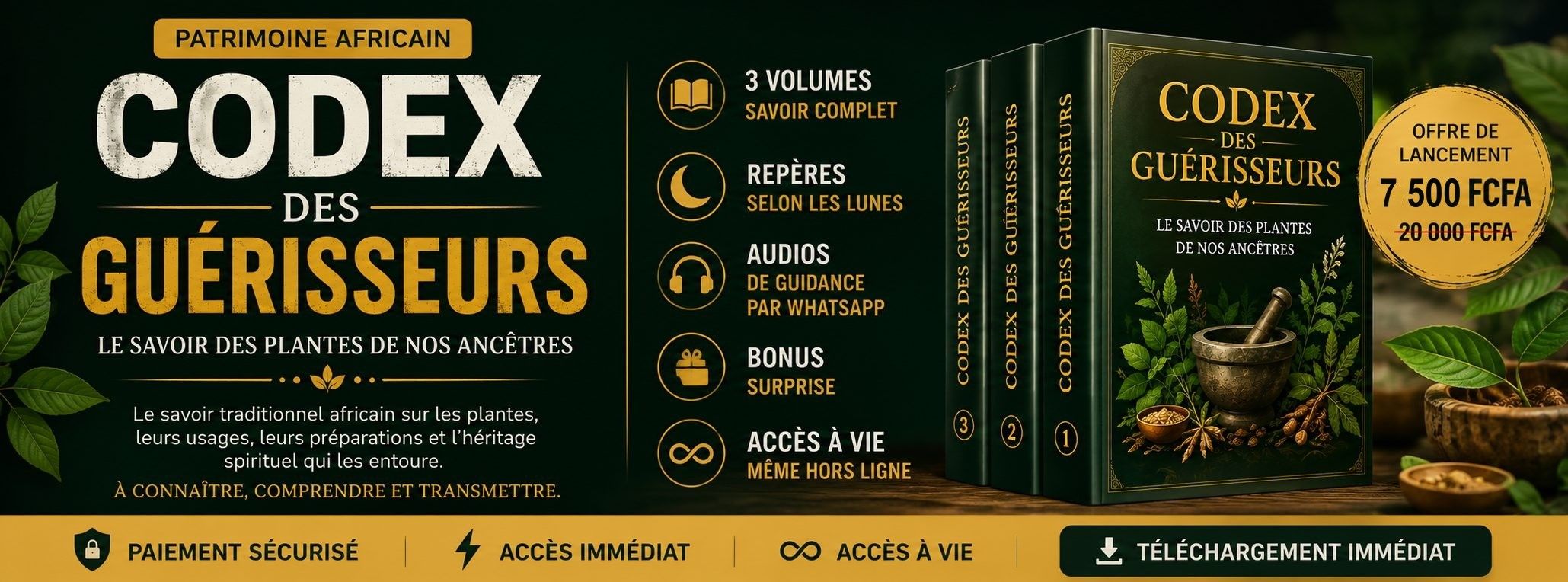 Codex des Guérisseurs – Médecine traditionnelle africaine & remèdes ancestraux