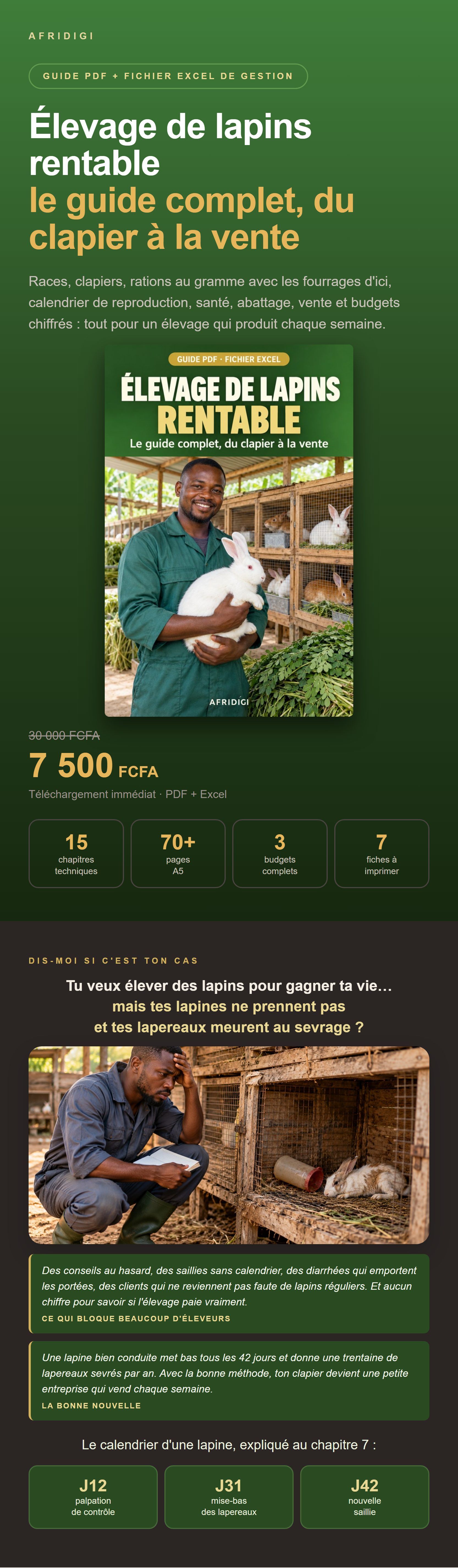 lapin-v1.jpg