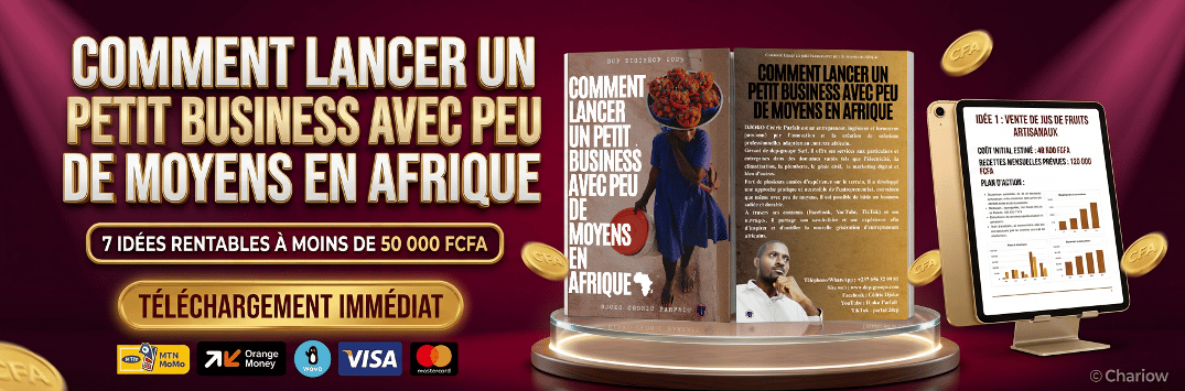 Comment lancer un petit business avec peu de moyens en Afrique
